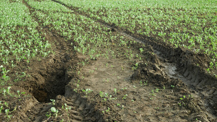 Fields subsoil erosion damage hole pit soil inappropriately managed earth land degradation field....