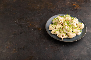 Dumplings with pepper, herbs, microgreen on black concrete. Side view, copy space.