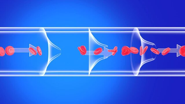 Anatomical 3d animation of blood circulation in a healthy vein. Transparent image of glass on a blue background.