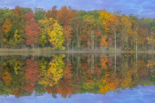 Autumn landscape at dawn of the shoreline of Deep Lake with mirrored reflections in calm water, Yankee Springs State Park, Michigan, USA © Dean Pennala