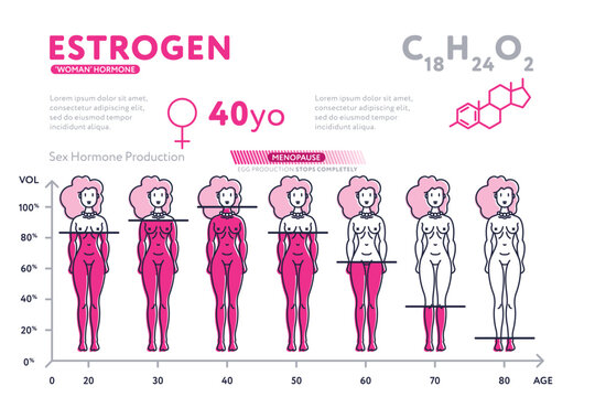 Ping infographic diagram showing content of hormone estrogen during life in female body.