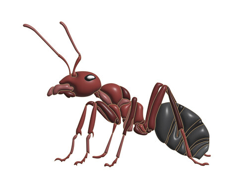 ants in transparent background image