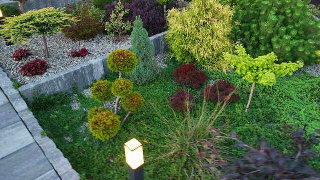 Mature Residential Rockery Garden Illuminated by LED Lighting. Gardening and Landscaping Theme.