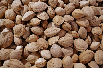 pile of outer hull almonds. Almonds with shell