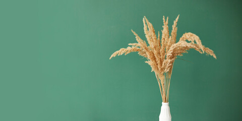 Branches of pampas grass in vase on green background. interior decoration. copy space