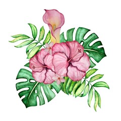 Tropical plant watercolor decoration  illustration.