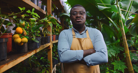 Naklejka na ściany i meble Close up of handsome gardener African American man in glasses standing in hothouse crossing arms and looking at camera. Floristry, occupation and business concept. Hobby farming concept.