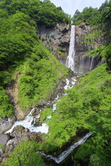 Fototapeta na wymiar Waterfall, Dark green, Body of water