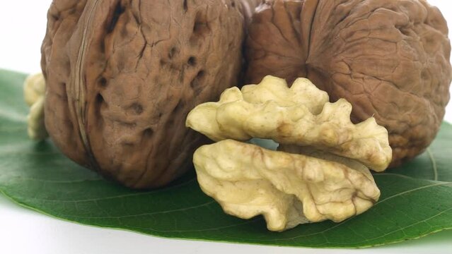 walnut on a white background