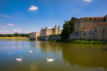 Swans in the Lake Sorrounding Leeds Castle in Kent, England