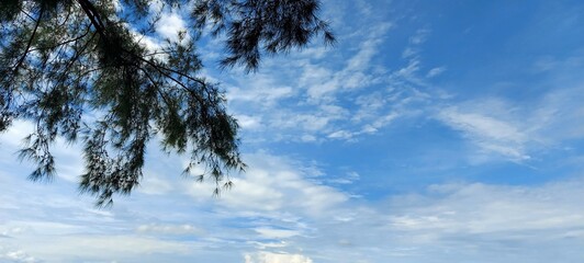 Obraz premium sky and clouds