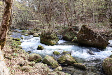 渓流の川流れ