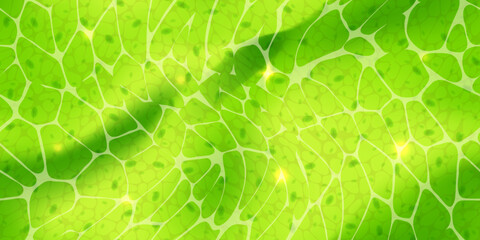 Abstract green wallpaper or plant cells with nuclears texture under a microscope seamless pattern. Leaf tissue layer vector macro illustration. Microbiology background. Scientific structure.
