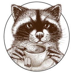 Vector illustration linear graphic raccoon with a cup of tea © Viktoriia Holovko