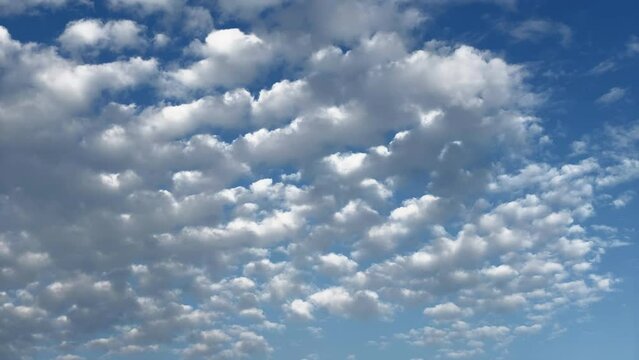 青空を流れるひつじ雲のタイムラプス映像 高積雲 クラウドスケープ 日本