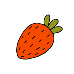 Strawberry. Wild berry. Healthy natural food. Vitamins. Vegetarian. Vector. Doodle. Hand-drawn illustration.