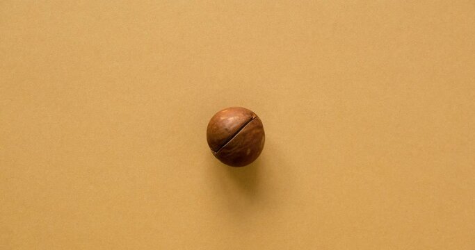 Whole and open macadamia nut on a brown solid background. Looped 4K stop motion animation