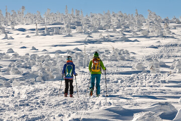 ski touring beskidy zimowa górska wycieczka na nartach - obrazy, fototapety, plakaty