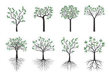 Set natural shape of Tree with Roots. Vector Illustration. Drawing plant isolated.