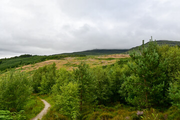 Fototapeta na wymiar Wolkenverhangener Berg mit Bäumen in den Highlands von Schottland