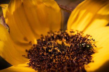 Im Garten