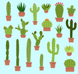 Different types of cactus in pots are arranged on a blue background. The Cactus is a thorny tree that does not like a lot of water. Farmers can now cultivate and sell. and cactus can be used to decora