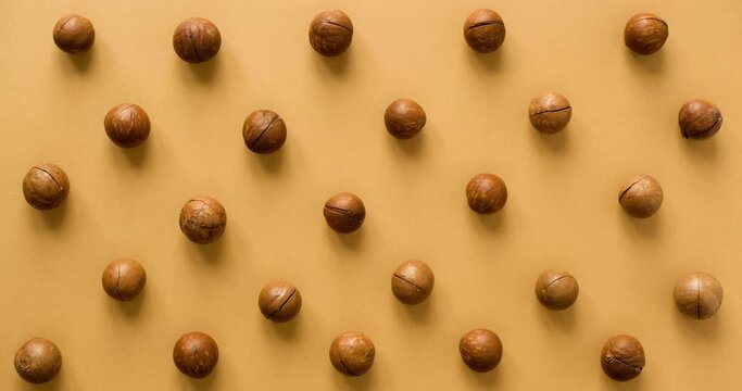 Macadamia nuts patern on a brown background. Looped 4K stop motion animation