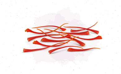 A dried Saffron spices vector illustration