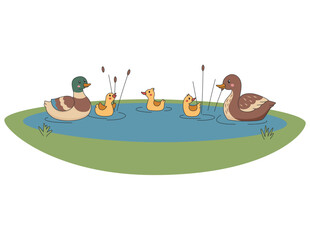 Duck family set. Vector art for farm animals