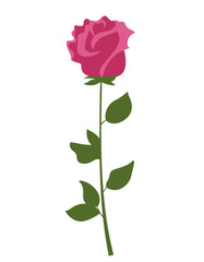 Obraz premium Rose in flat style. Beautiful garden flower.