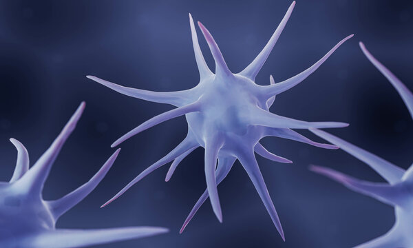 Dendritic cells, Immune system cells