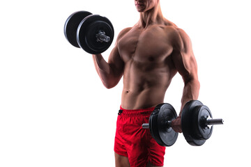 bodybuilding workout of sport man hold dumbbell. sport workout in gym.