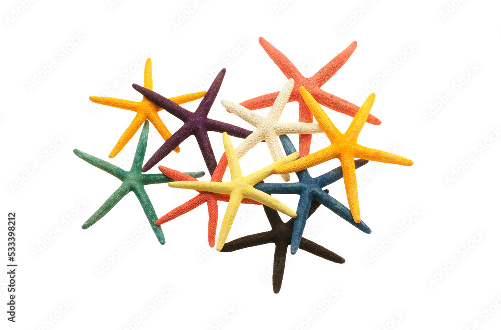 Wall mural colored starfish summer objects isolated on transparency photo png file