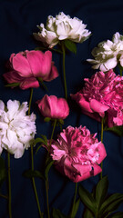 Background banner with a composition of flowers. A bouquet of bright peonies on a dark background. Restrained.view from above.Beautiful fresh peonies on a black background. Floral postcard design