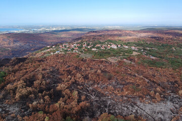 Devastating scenes after big summer wildfires in Karst region in Slovenia