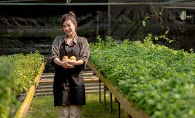 Smiling young Asian gardener woman holding sweet potatoes from farm products in Agriculture Business farm