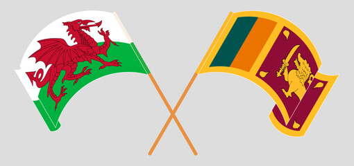 Crossed and waving flags of Wales and Sri Lanka