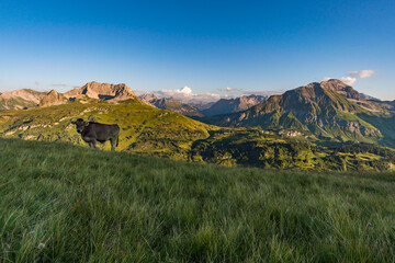 Fototapeta premium Stunning sunset hike from the top in the austria mountain