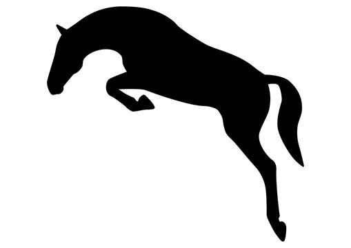 Springpferd Schattenvektor