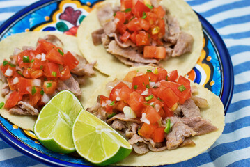 メキシコ料理の美味しいタコス
Delicious Mexican tacos
