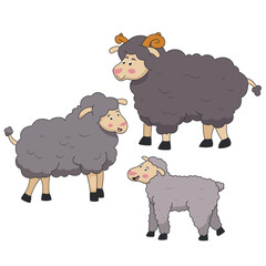 Sheep family in cartoon style. Farm animals