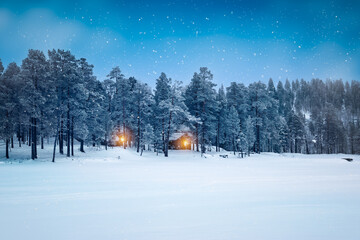 Winter forest snow landscape in the night. Lapland, Finland.