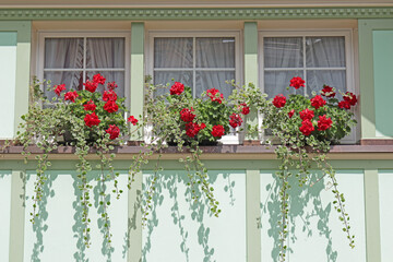 Fototapeta na wymiar Fenster mit Geranien, Schweiz