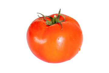 tomate rouge mouillé isolé en gros plan