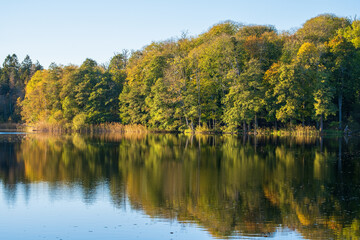 Forest lake with water reflections and  autumn colors