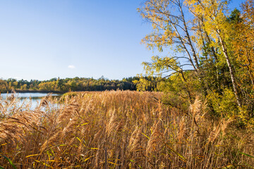Beautiful autumn landscape by a lake