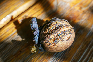 Obraz na płótnie Canvas The walnut lie on a wooden table, the photo is fully revealed.