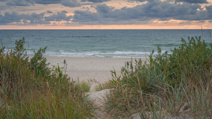 grassy sand dunes on the seashore