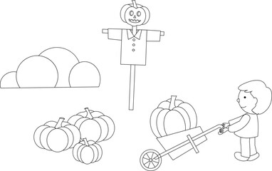 Harvesting pumpkin linear vector illustration for coloring