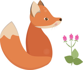 Fox cub isolated vector illustration for decor